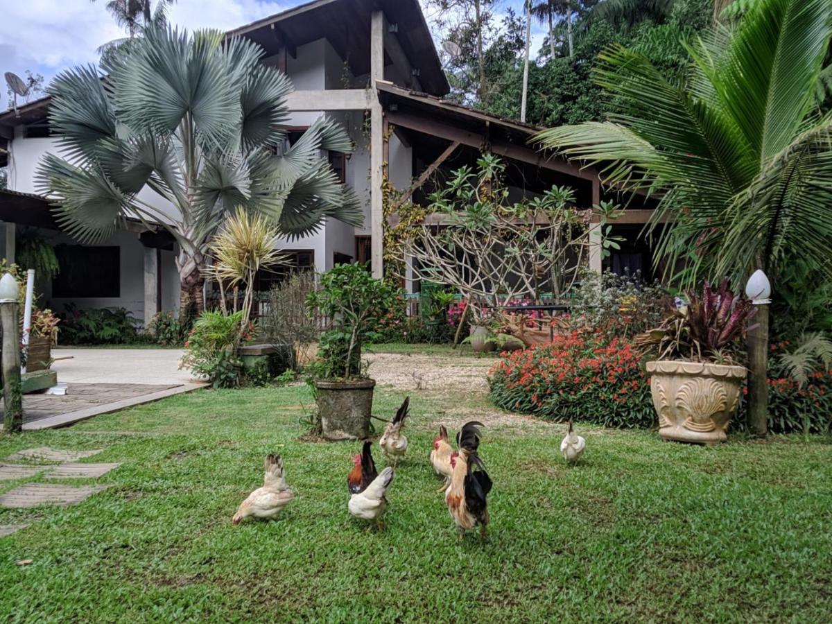 Apartamento Casa na Floresta Penedo  Exterior foto